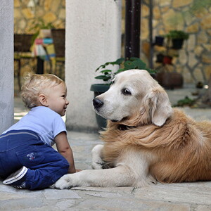 cachorro e bebê