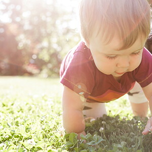 dicas ambientalmente corretas para bebes