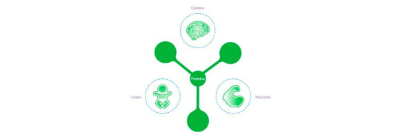 Gráfico - proteínas