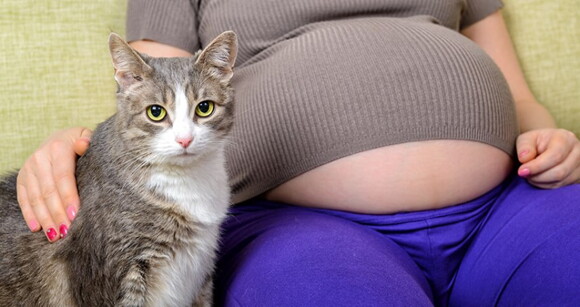 Grávida sentada em um sofá ao lado de um gato