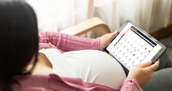 Mulher grávida sentada em uma cadeira segurando um calendário online