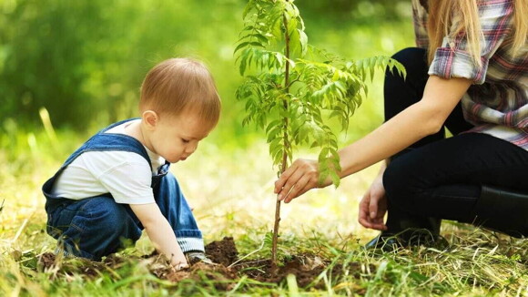 Uma bebê de macacão azul ajudando uma pessoa adulta a plantar uma pequena muda em um campo gramado ao ar livre.